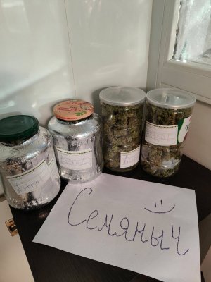 banki.jpeg