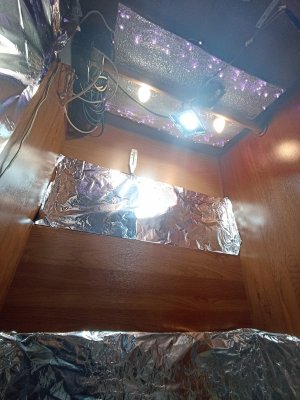 IMG_20220202_165347.jpg