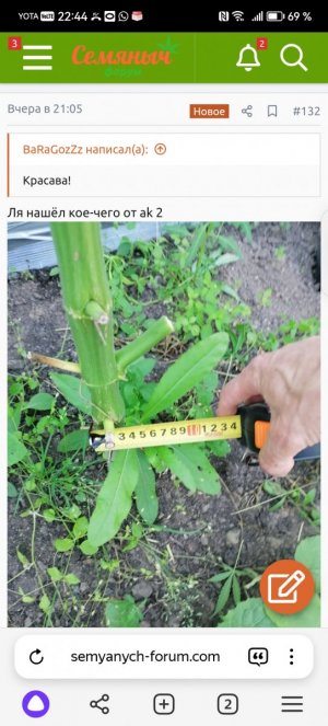 Screenshot_20240512_224450_com.yandex.browser.jpg