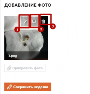 1717242123995.png 1717242123995.png