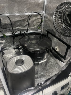 IMG_5219.jpeg